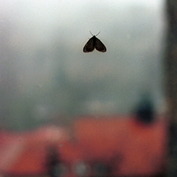 Maroussa Maravelia - Art Photography