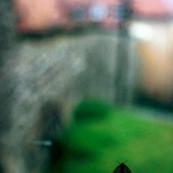 Maroussa Maravelia - Art Photography