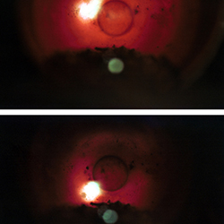 Maroussa Maravelia - Art Photography