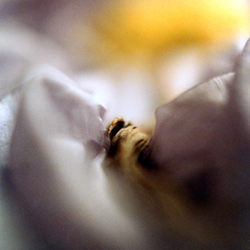 Maroussa Maravelia - Art Photography