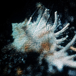 Maroussa Maravelia - Art Photography