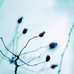 Maroussa Maravelia - Landscapes