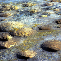 Maroussa Maravelia - Landscapes
