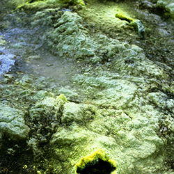 Maroussa Maravelia - Landscapes