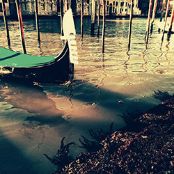 Maroussa Maravelia - Landscapes