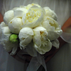 Maroussa Maravelia - Wedding Photography